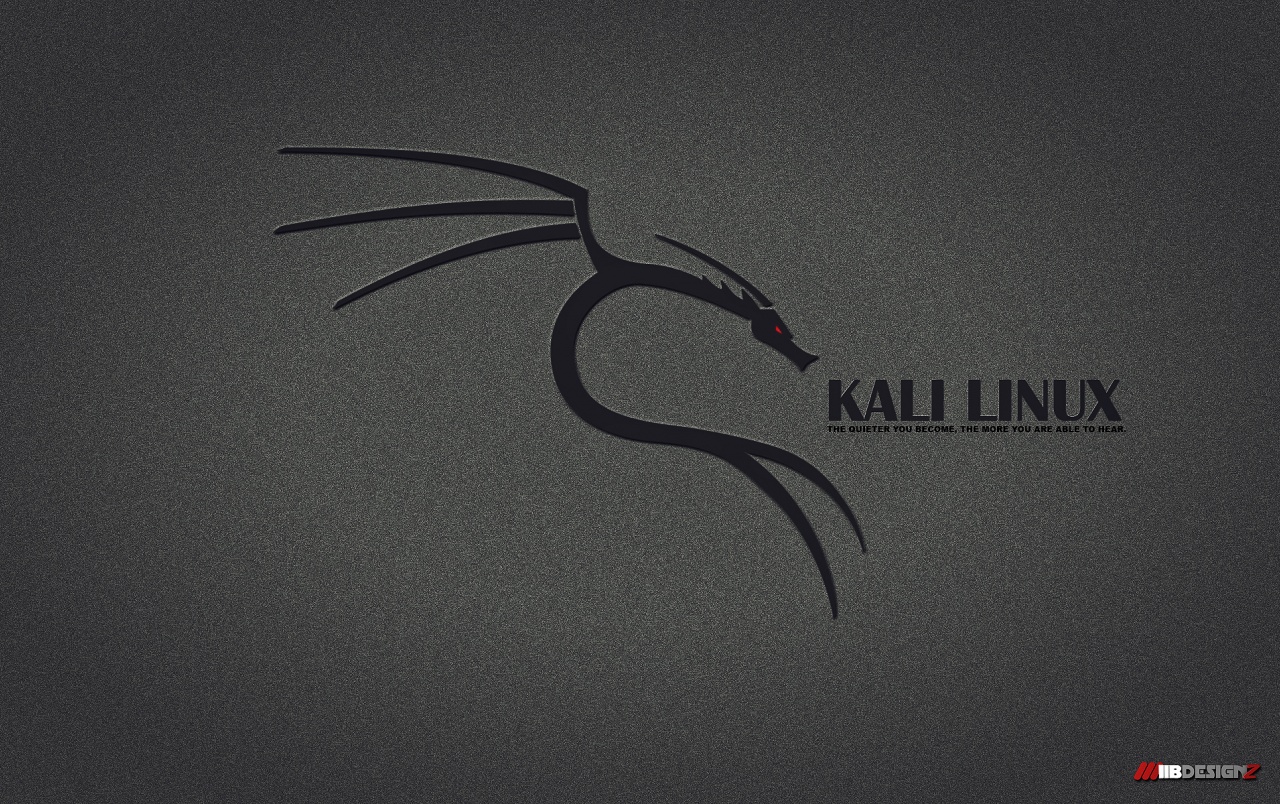 Kali Linux picture